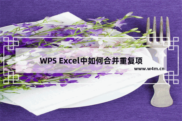 WPS Excel中如何合并重复项