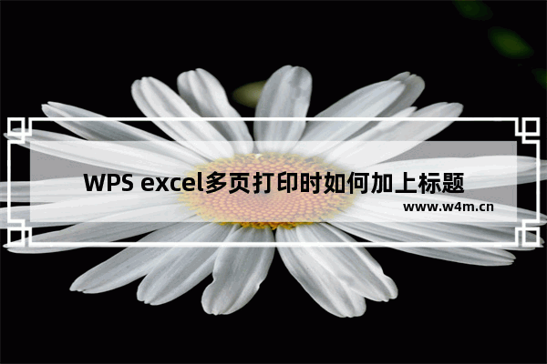 WPS excel多页打印时如何加上标题和页码