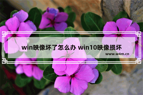 win映像坏了怎么办 win10映像损坏怎么办