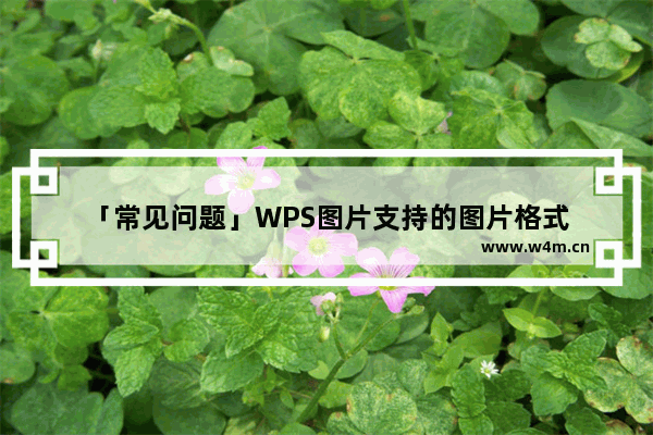 「常见问题」WPS图片支持的图片格式