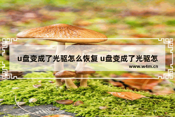 u盘变成了光驱怎么恢复 u盘变成了光驱怎么恢复出厂设置