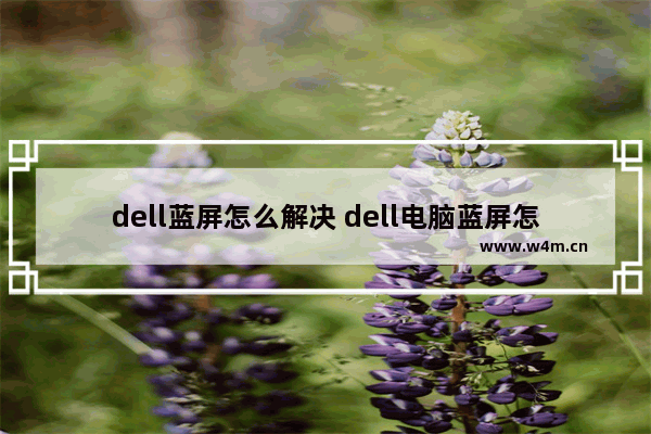 dell蓝屏怎么解决 dell电脑蓝屏怎么解决