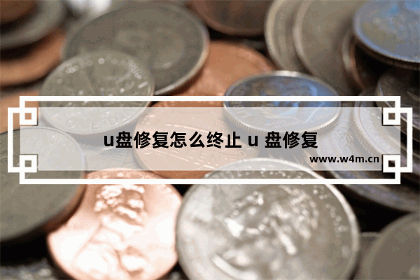 u盘修复怎么终止 u 盘修复