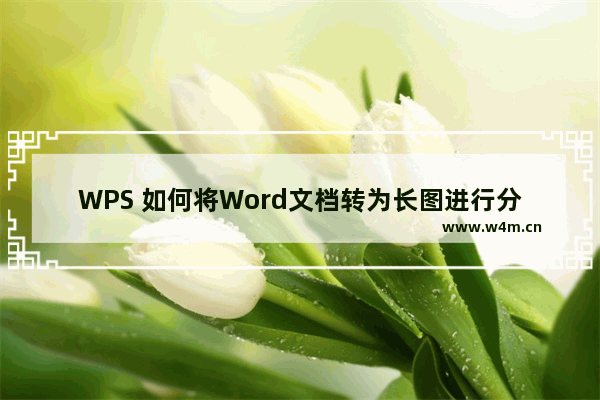 WPS 如何将Word文档转为长图进行分享