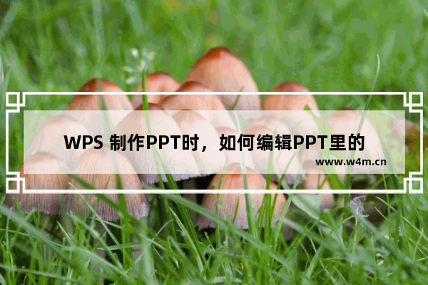 WPS 制作PPT时，如何编辑PPT里的图表数据？