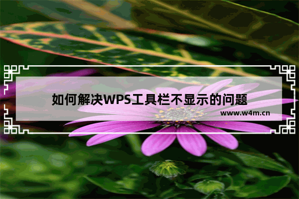 如何解决WPS工具栏不显示的问题