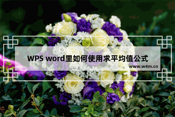 WPS word里如何使用求平均值公式