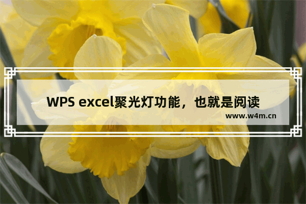 WPS excel聚光灯功能，也就是阅读模式，那么该如何操作呢