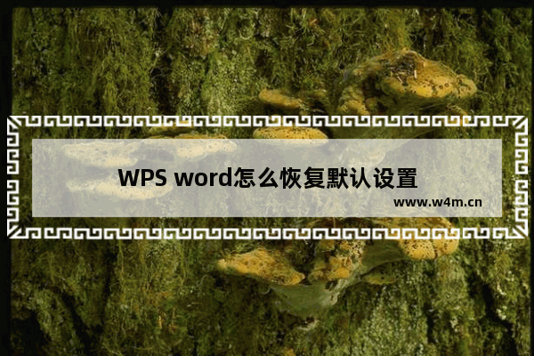 WPS word怎么恢复默认设置