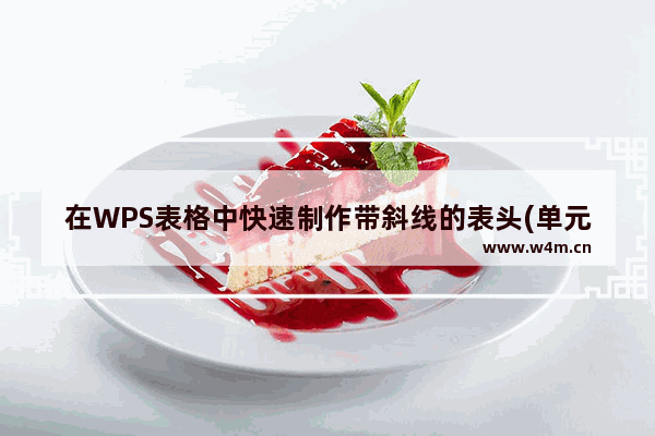 在WPS表格中快速制作带斜线的表头(单元格)