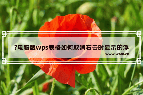 ?电脑版wps表格如何取消右击时显示的浮动工具栏