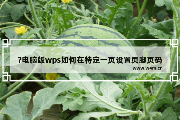 ?电脑版wps如何在特定一页设置页脚页码