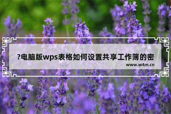 ?电脑版wps表格如何设置共享工作簿的密码