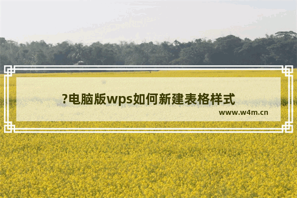 ?电脑版wps如何新建表格样式