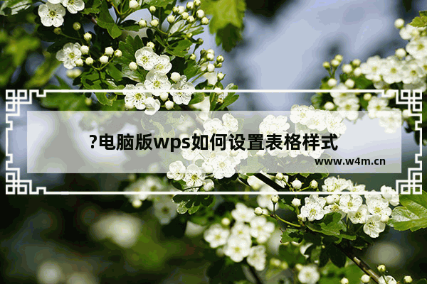 ?电脑版wps如何设置表格样式