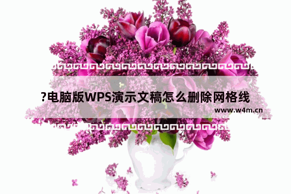 ?电脑版WPS演示文稿怎么删除网格线