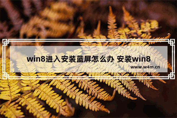 win8进入安装蓝屏怎么办 安装win81蓝屏