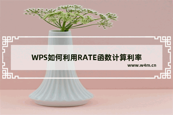 WPS如何利用RATE函数计算利率