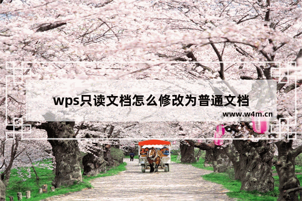 wps只读文档怎么修改为普通文档