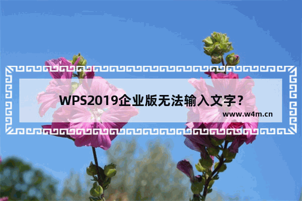 WPS2019企业版无法输入文字？