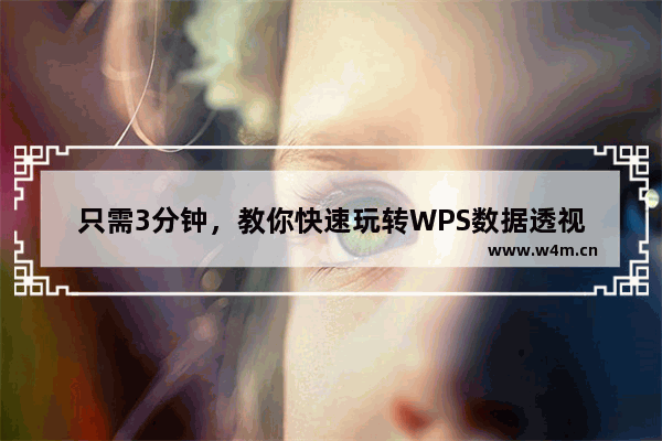 只需3分钟，教你快速玩转WPS数据透视