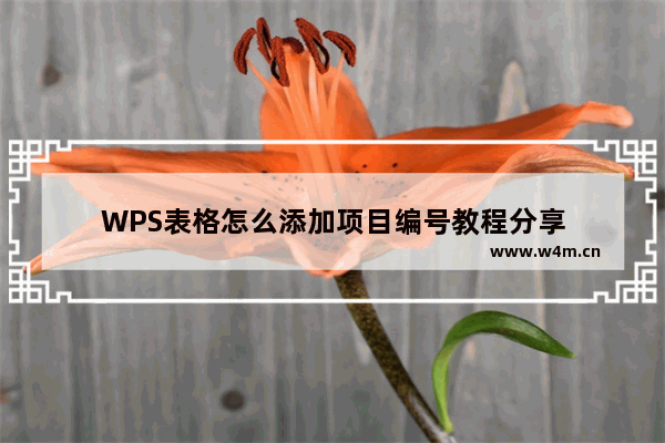 WPS表格怎么添加项目编号教程分享