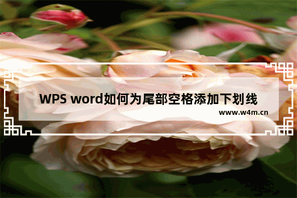 WPS word如何为尾部空格添加下划线的方法