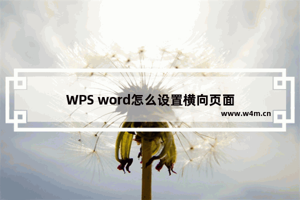 WPS word怎么设置横向页面