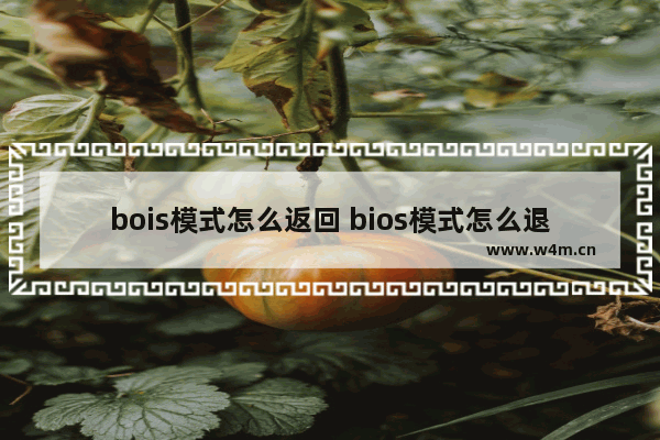 bois模式怎么返回 bios模式怎么退出去