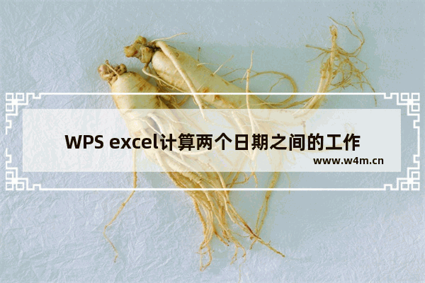 WPS excel计算两个日期之间的工作天数