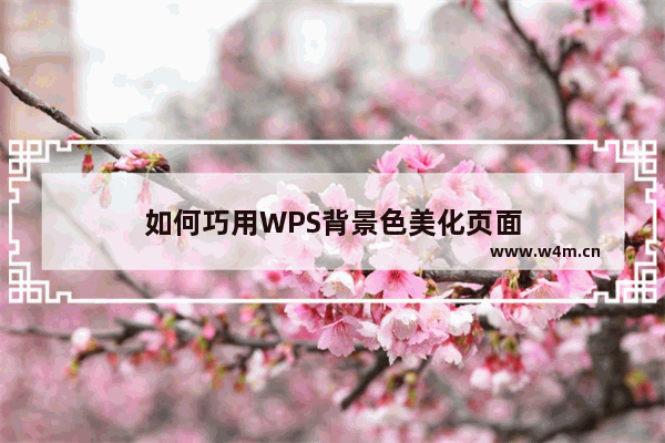 如何巧用WPS背景色美化页面