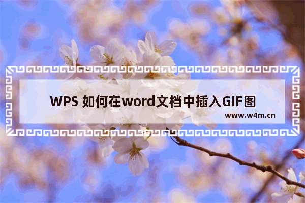 WPS 如何在word文档中插入GIF图的方法