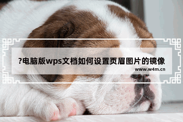 ?电脑版wps文档如何设置页眉图片的镜像