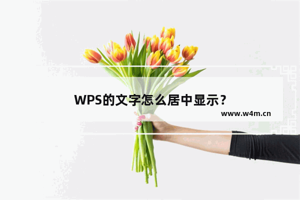 WPS的文字怎么居中显示？