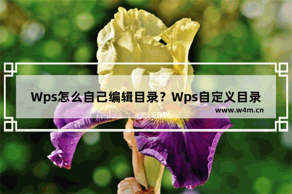 Wps怎么自己编辑目录？Wps自定义目录的方法