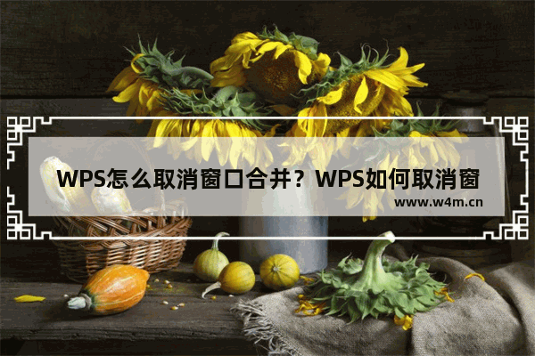 WPS怎么取消窗口合并？WPS如何取消窗口层叠？