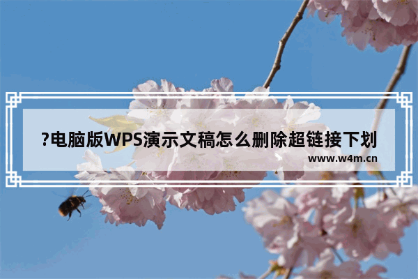 ?电脑版WPS演示文稿怎么删除超链接下划线