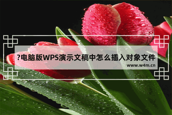 ?电脑版WPS演示文稿中怎么插入对象文件