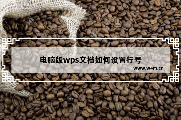 电脑版wps文档如何设置行号