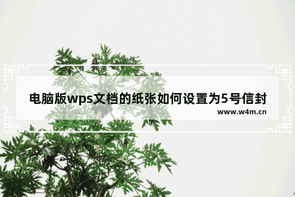 电脑版wps文档的纸张如何设置为5号信封