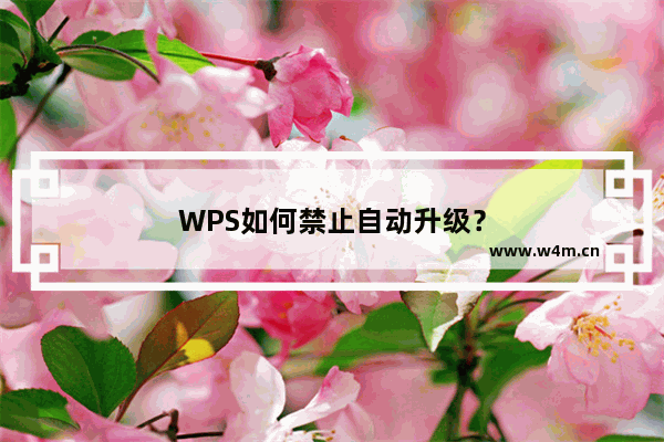 WPS如何禁止自动升级？