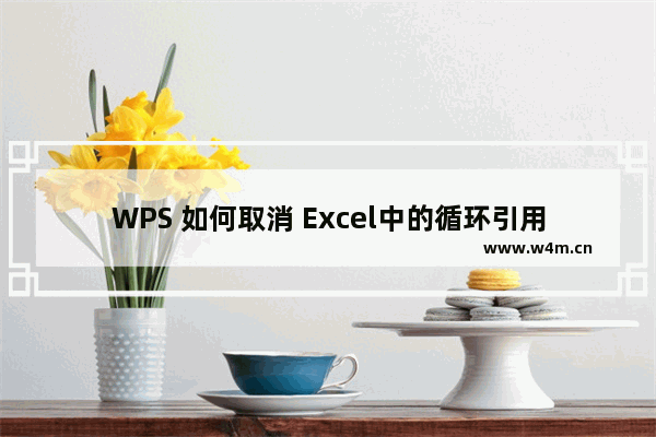 WPS 如何取消 Excel中的循环引用警告