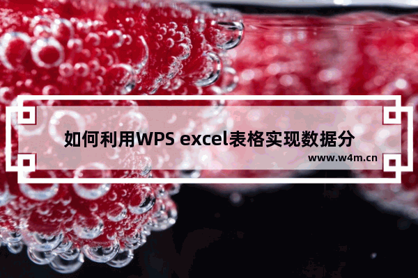 如何利用WPS excel表格实现数据分组