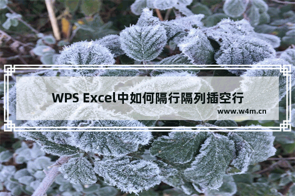 WPS Excel中如何隔行隔列插空行