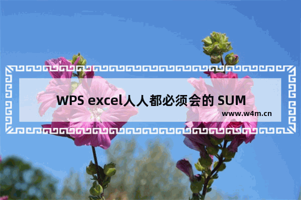 WPS excel人人都必须会的 SUM函数