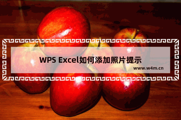 WPS Excel如何添加照片提示