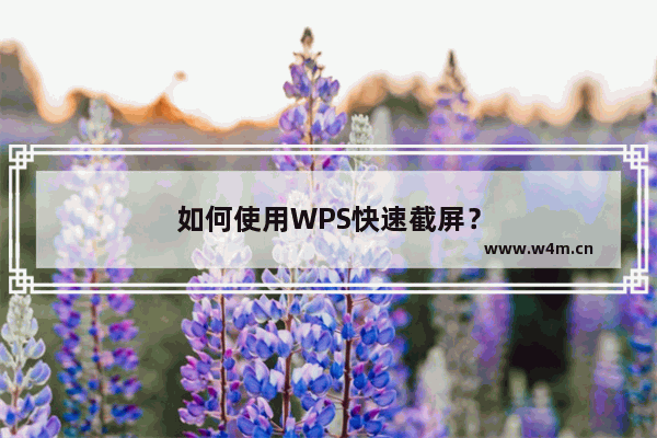 如何使用WPS快速截屏？