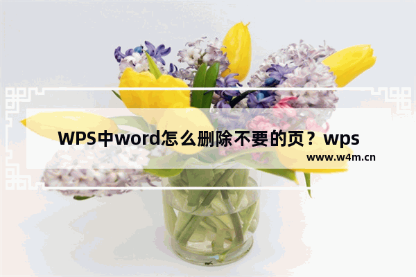 WPS中word怎么删除不要的页？wps如何删除不要的页面？