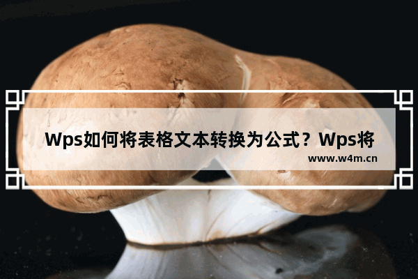 Wps如何将表格文本转换为公式？Wps将表格文本转换为公式的方法