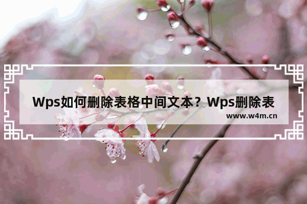 Wps如何删除表格中间文本？Wps删除表格中间文本方法